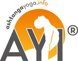 AYI Logo